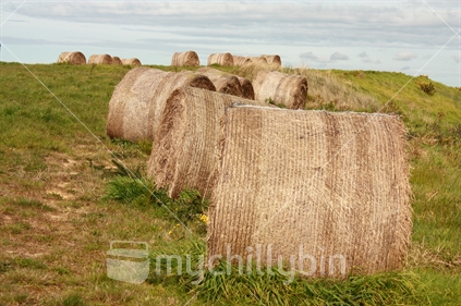 Round hay bales on farmland.