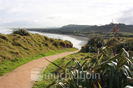 Foreground flax and walking track leads the eye in a curve through Muriwai Beach to a hazy horizon.