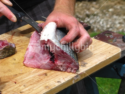 Filleting New Zealand Kawhai fish on wooden board