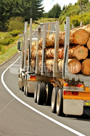 Logging truck on main road