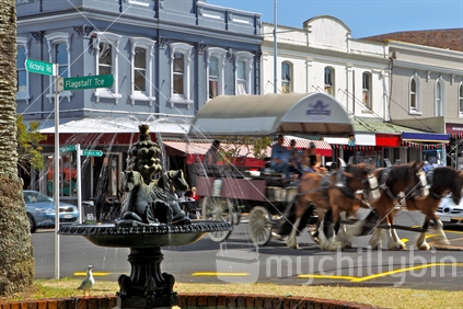 A clydesdale team pulling a carriage through Devonport in Auckland.