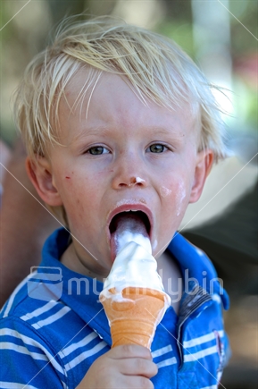 Young boy enjoying an ice cream