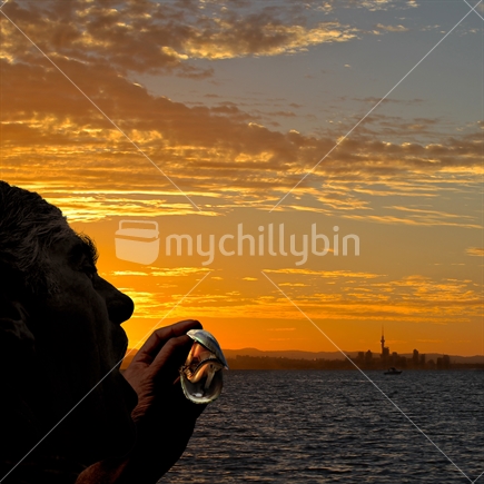 Green lipped Mussel against Auckland skyline at sunset (combined image)