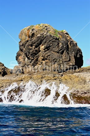Rocky coast 2, Northland, New Zealand - waves on kelp
