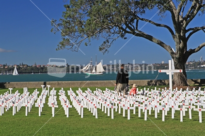 ANZAC memorial field from Devonport with old sailing boat in background in background