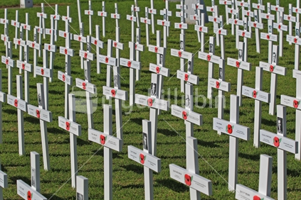 ANZAC memorial field of crosses 