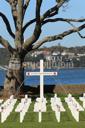 ANZAC memorial field of crosses from Devonport 