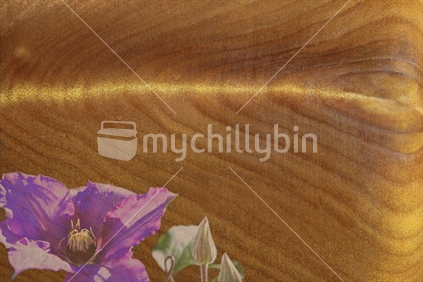 Kauri texture and clematis
