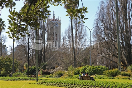 University of Auckland Clock Tower from Albert Park