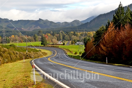 Country Road - Bay of Plenty, New Zealand