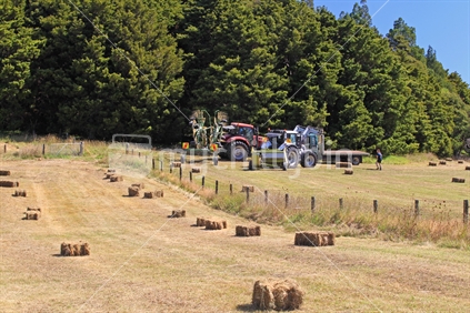 Hay making on the farm