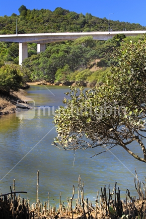 State Highway 1 bridge over mangroves