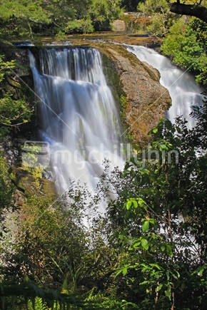 Urewera Waikaremoana bush native waterfall