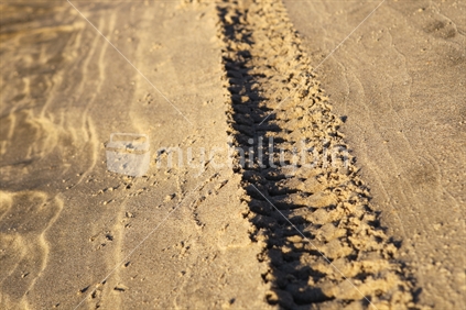 Tyre tracks in seashore sand, New Zealand