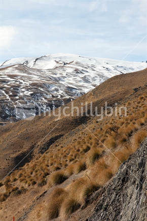 High Country 2, South Island, New Zealand
