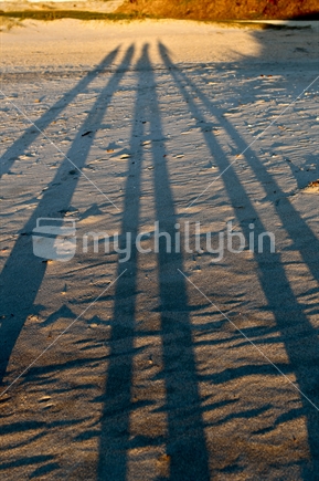 Four long shadows on beach sand