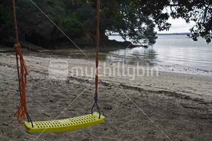 Hanging Swing in Small New Zealand Beach Bay