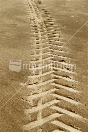 Tractor track on New Zealand beach