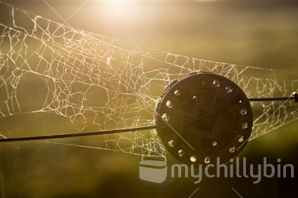 Detail of part of a fence with cobweb (lens flare)
