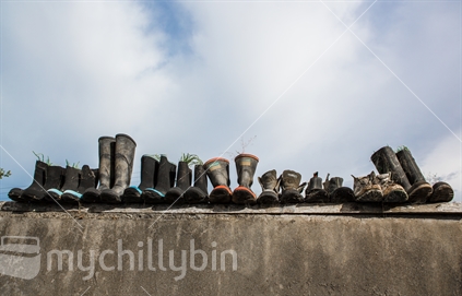 A row of old gumboots on a wall. 