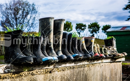 A row of old gumboots