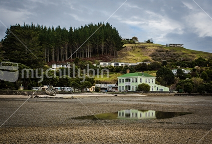 Coastal plantation forestry including buildings and old hotel reflected in a puddle
