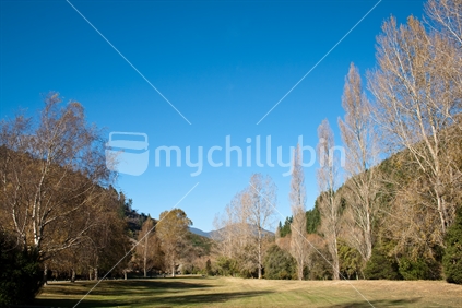 Matai Valley, Nelson, New Zealand