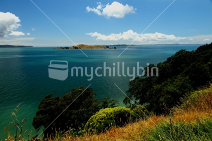 Waitemata Harbour view from Glover Park, St. Heliers, Auckland, foreground focus.