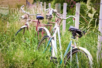 Old bicycles leaning against fence in grassy field