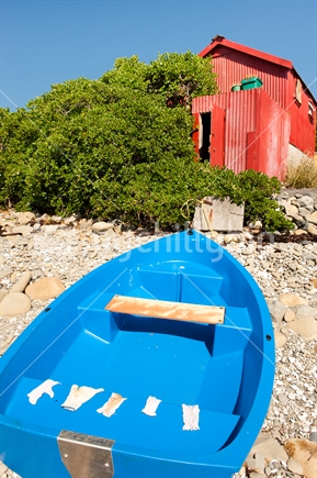 Bright blue boat tied to bright red bach on beach.  Gloves used for pawa and spiney lobster drying on boat.