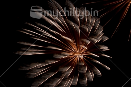 One of the fireworks used in a fireworks display in the South Island