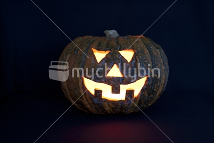 New Zealand style Halloween pumpkin with cloth backdrop