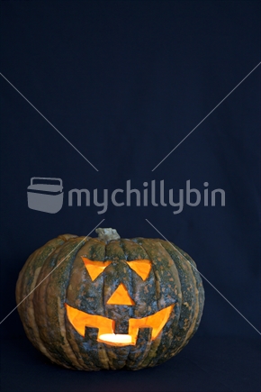 Halloween pumpkin - New Zealand style. With cloth backdrop.