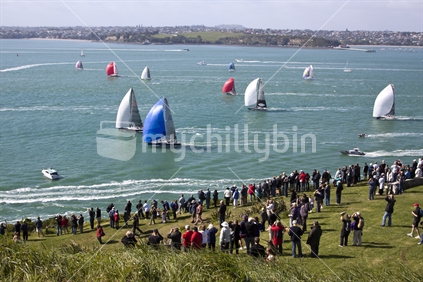 Coastal Classic Yacht Racing - Auckland to Bay of Islands