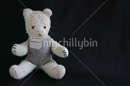 Teddy Bear awaiting a hug 
