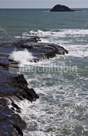 Rock Fishing at Muriwai, West Coast (focus foreground) 