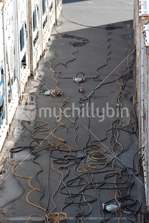 Power cords plugged in to refrigerated shipping containers