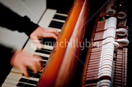 Piano hands and hammers