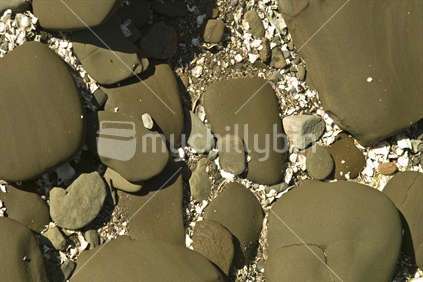 Coastal rocks, Auckland, New Zealand