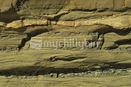 Seaside Cliff face - Auckland, New Zealand.