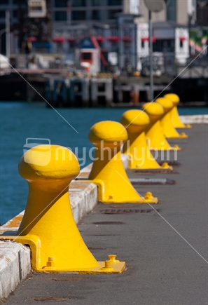 Yellow Dock Ties, Wellington, New Zealand