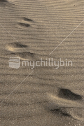 Eroding footprints in the Sand