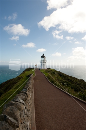 The path leading to the Cape Reinga lighthouse, northern most tip of New Zealand.