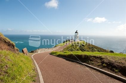 The path leading to the Cape Reinga lighthouse; northernmost point of New Zealand.