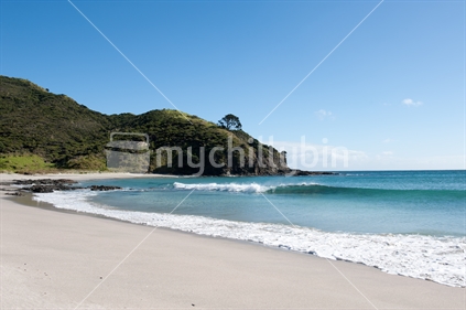 A generic New Zealand coastal beach scene.