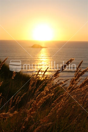 Sun set at Maori Bay (Shallow depth of field)