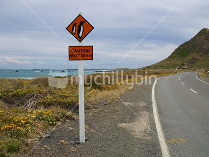 A sign warning motorists of wandering penguins at Palliser Bay
