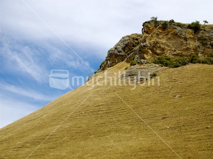Limestone outcrop near Te Mata Peak, Hawke's Bay