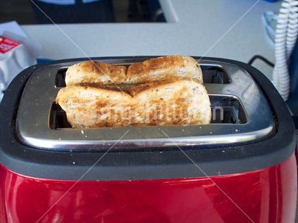Freshly cooked toast in outdoor light