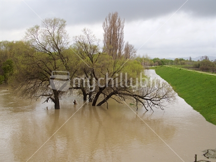 The flood path of the lower Tukituki River after heavy rain